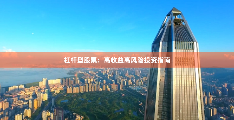 杠杆型股票：高收益高风险投资指南